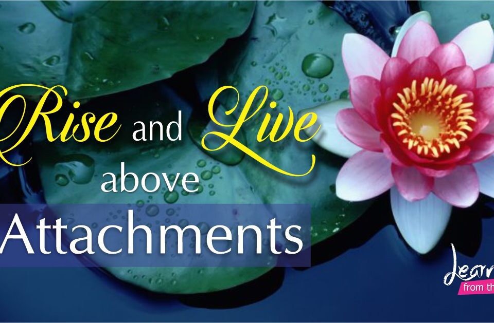 Rise and Live above Attachments