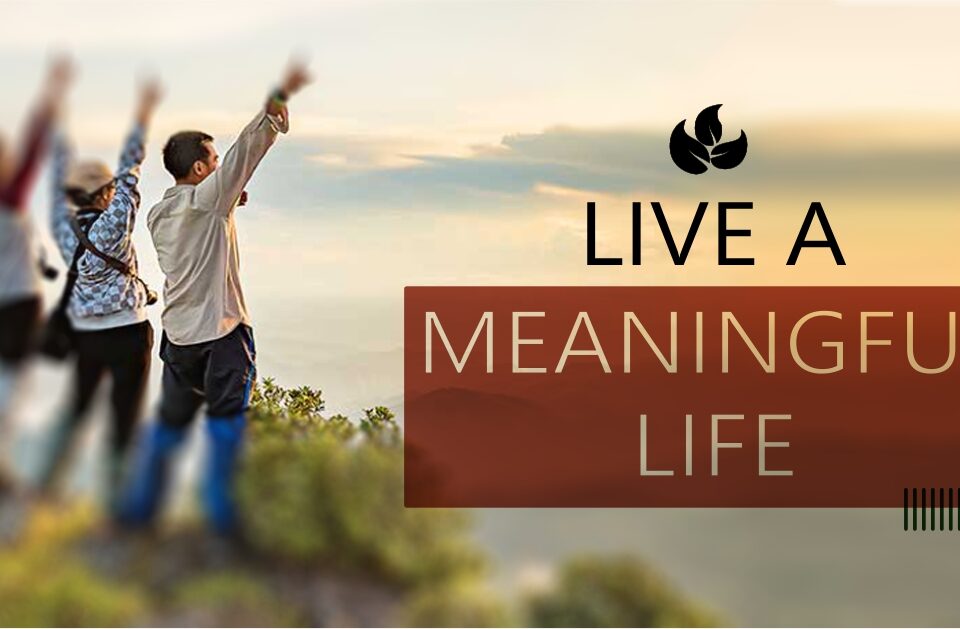 Live a Meaningful Life