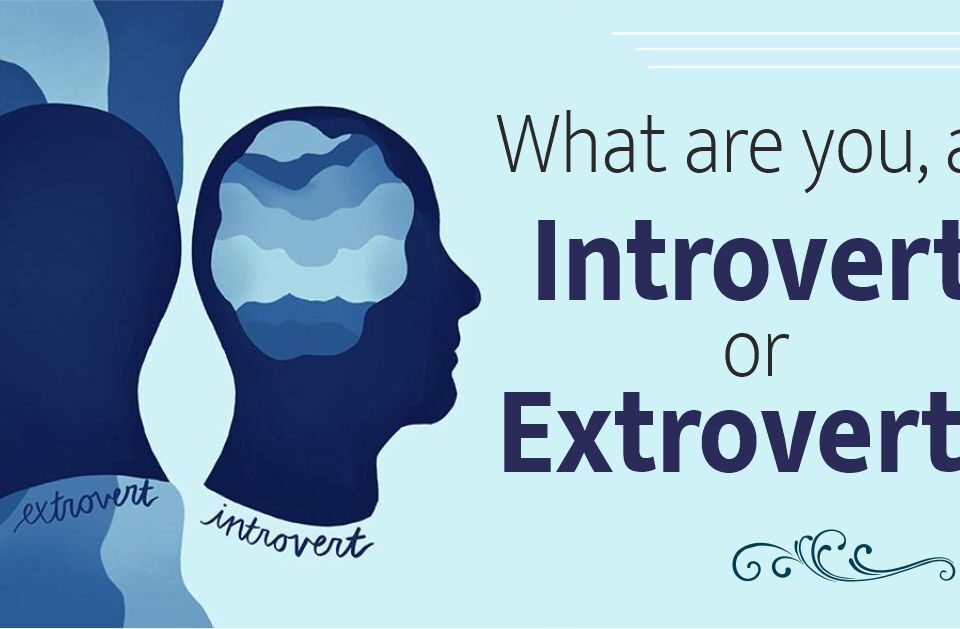 What are you, an introvert or extrovert?