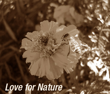 Love for Nature